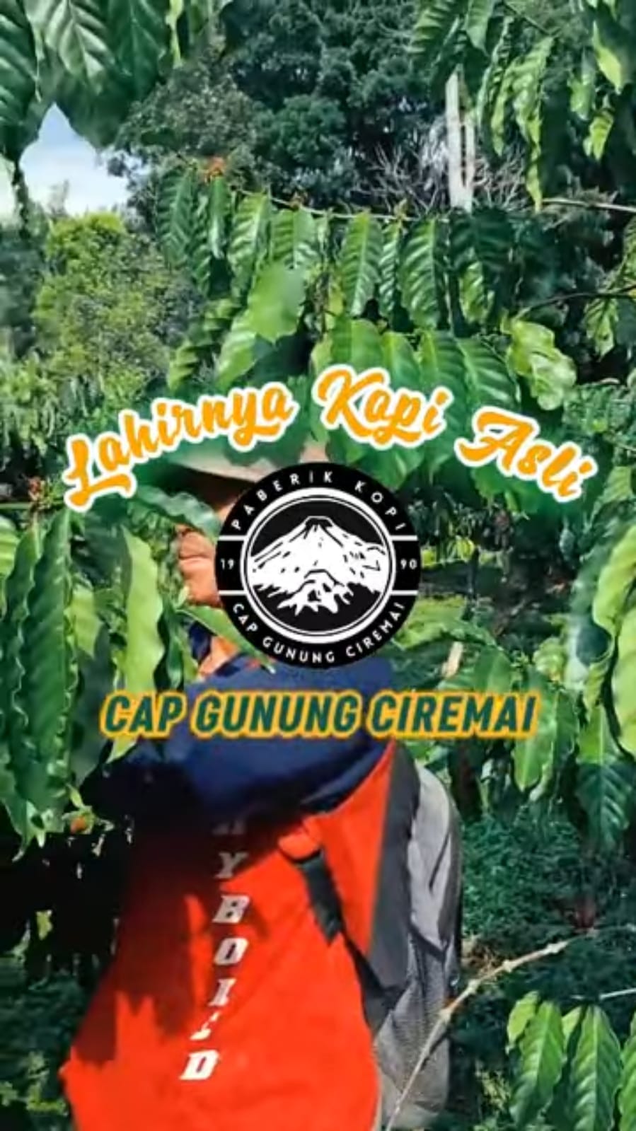 Video 1